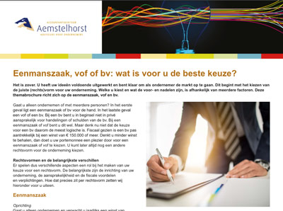 Eenmanszaak, vof of bv