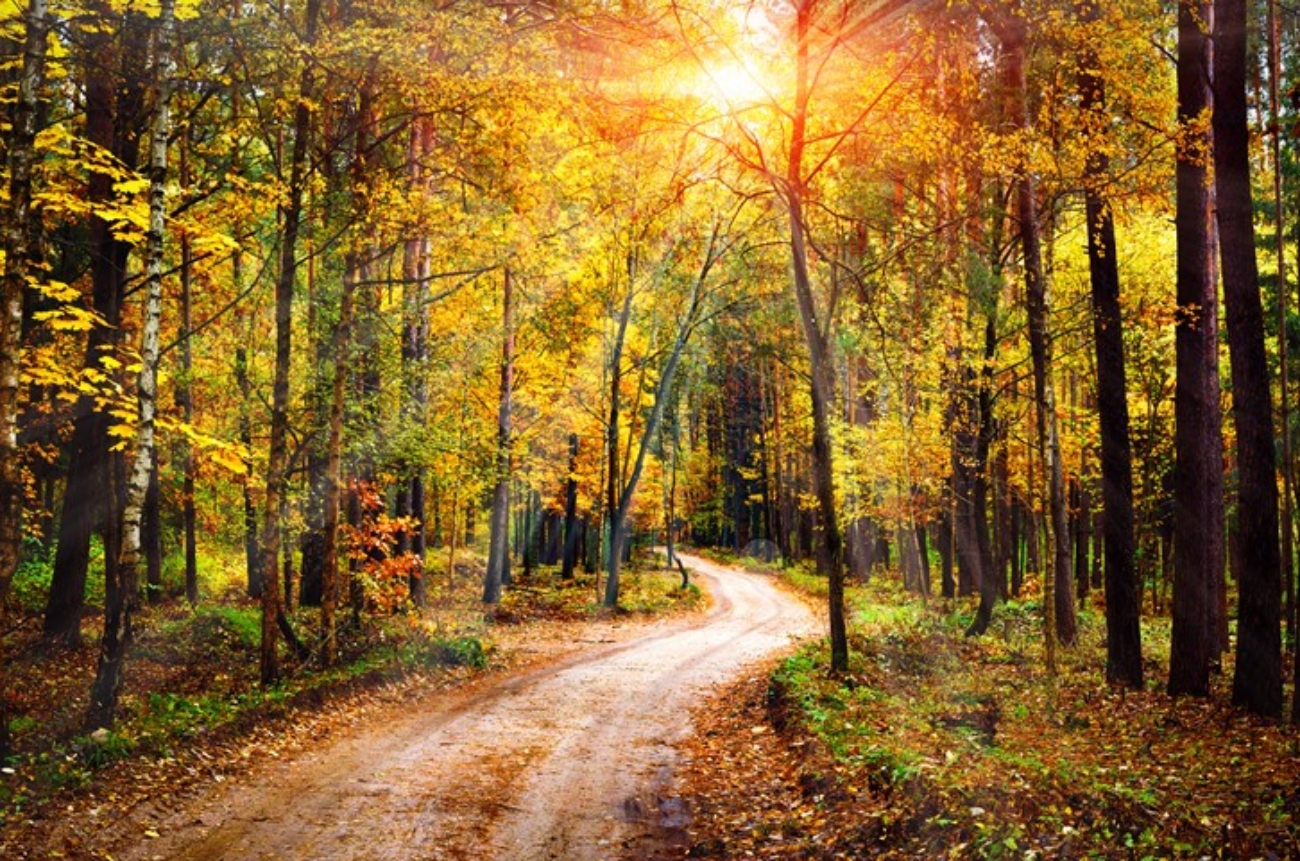 Vastgoedconstructie leidt tot resultaat uit overige werkzaamheden