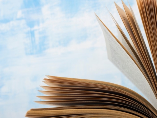 Handboek Dienst Toeslagen nu voor iedereen beschikbaar