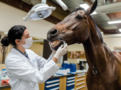 Zonder klanten geen ondernemer