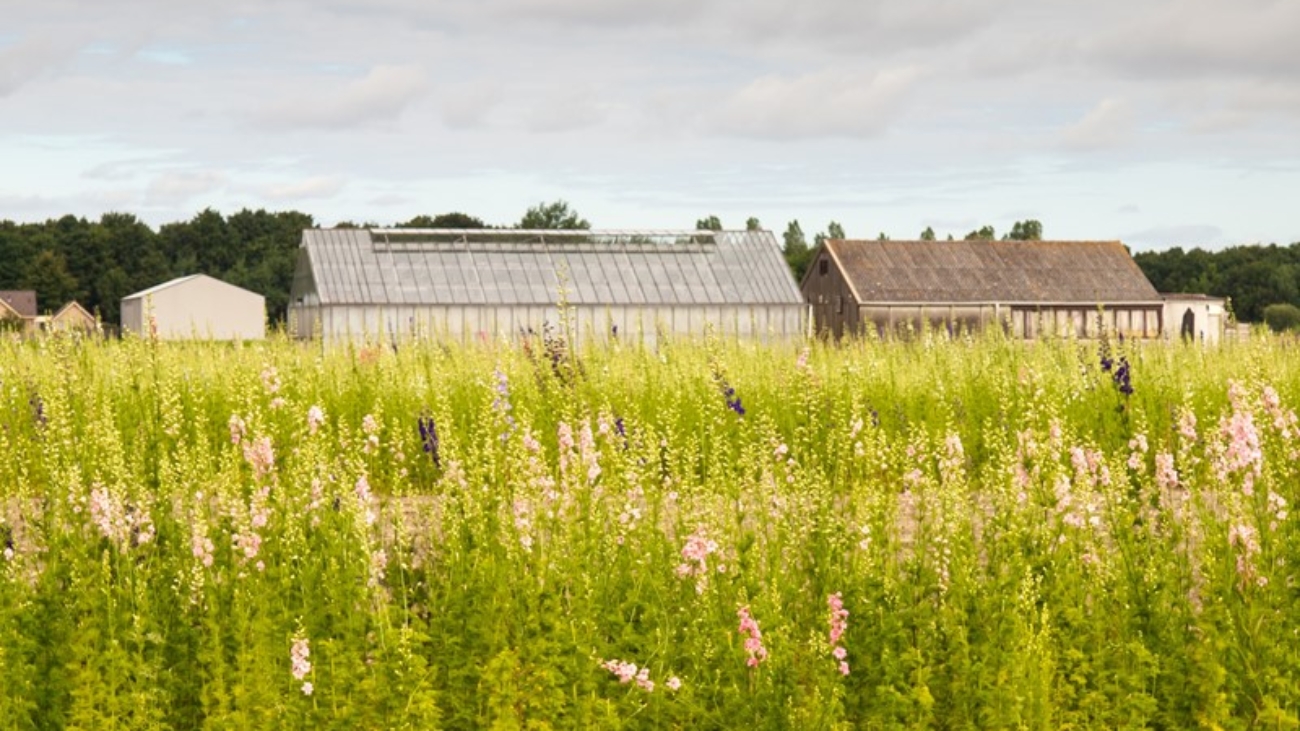 Bestemmingswijziging levert belastbare winst op