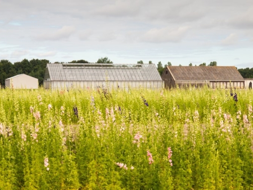 Bestemmingswijziging levert belastbare winst op