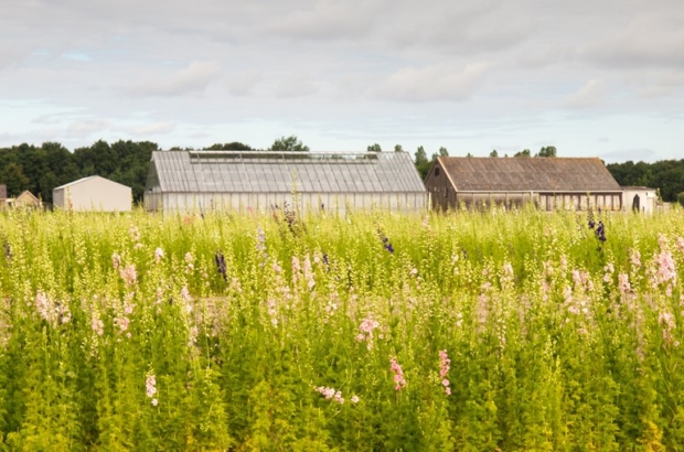 Bestemmingswijziging levert belastbare winst op